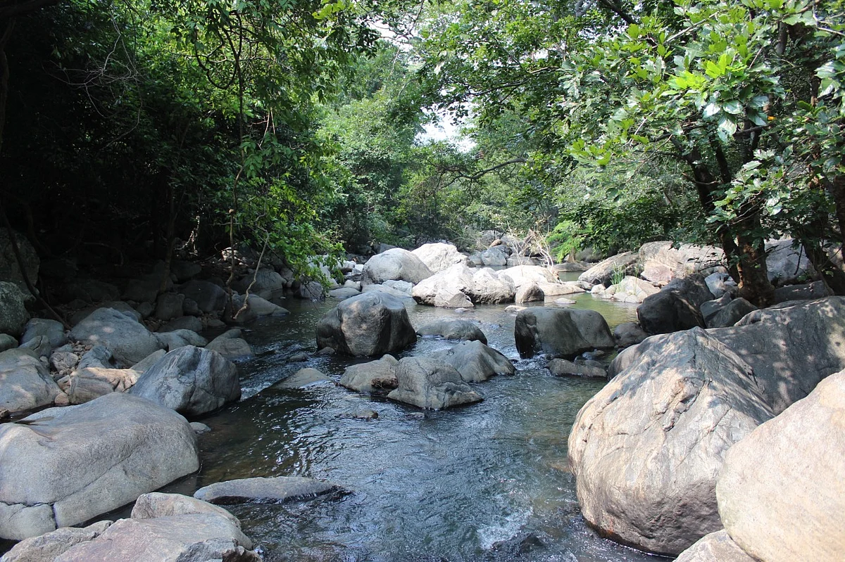 கோரையாறு அருவி