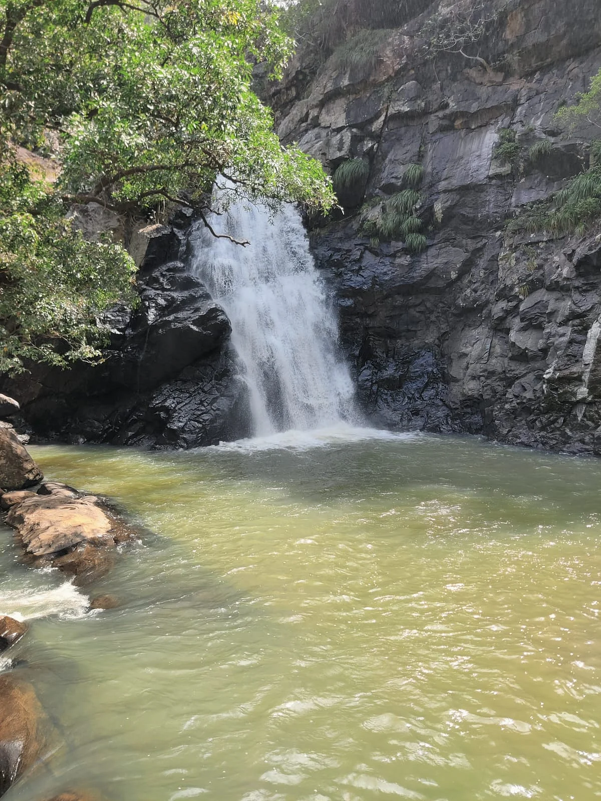 கோரையாறு அருவி