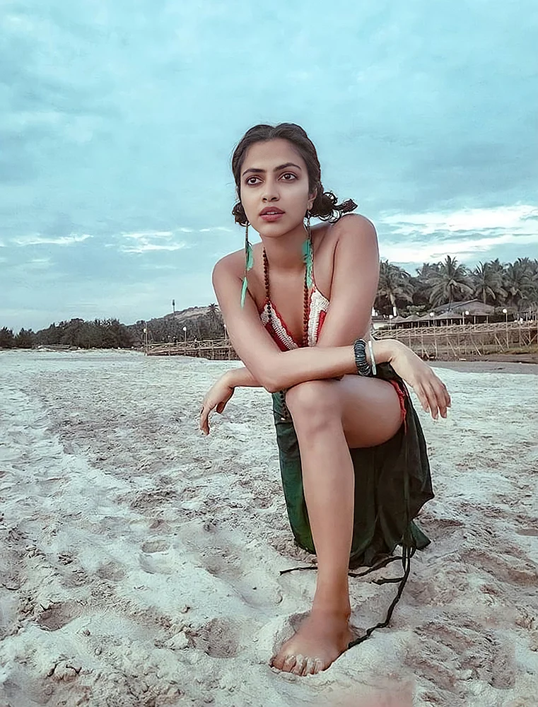 மிஸ்டர் மியாவ்