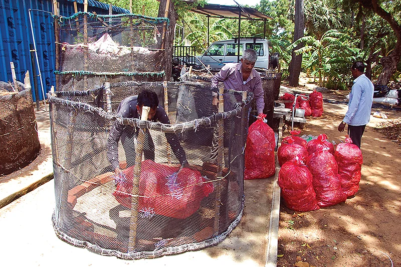மண்புழு உரநீர் தயாரிக்கும் கட்டுமான அமைப்பு