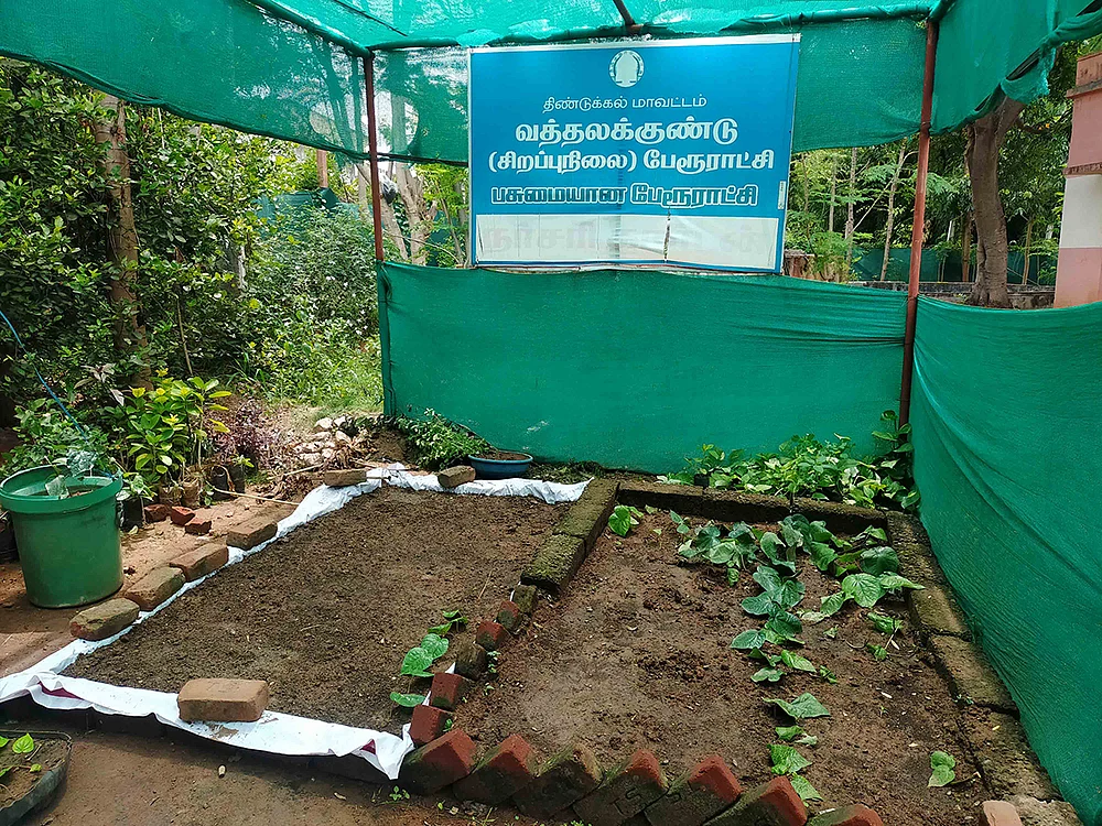 நாற்றுப் பண்ணை