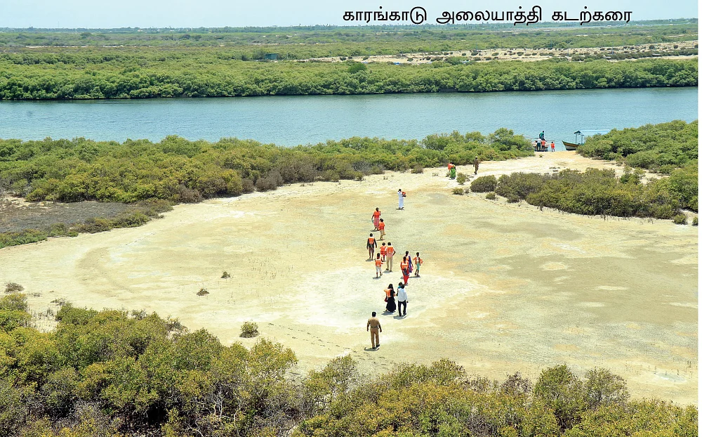மெரினாவுக்கு சவால்விடும் அழகிய கடற்கரைகள்!