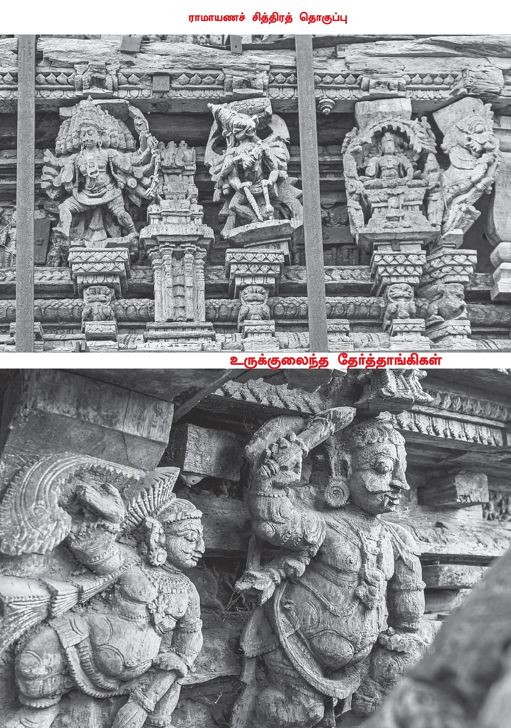 சிதைந்துகொண்டிருக்கும் மரப்புத்தகங்கள்!