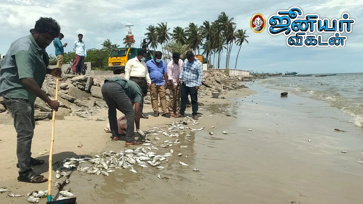 ஆய்வு செய்யப்படுகிறது