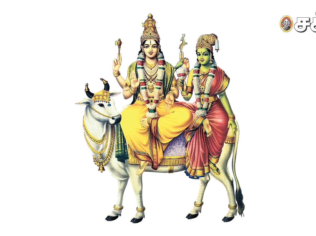 பாண்டியனின் நிலத்தை மீட்டுத் தந்த பூமிநாதர் - இன்றும் நிலப் பிரச்னைகளைத் தீர்த்து வைக்கும் அதிசயம்!