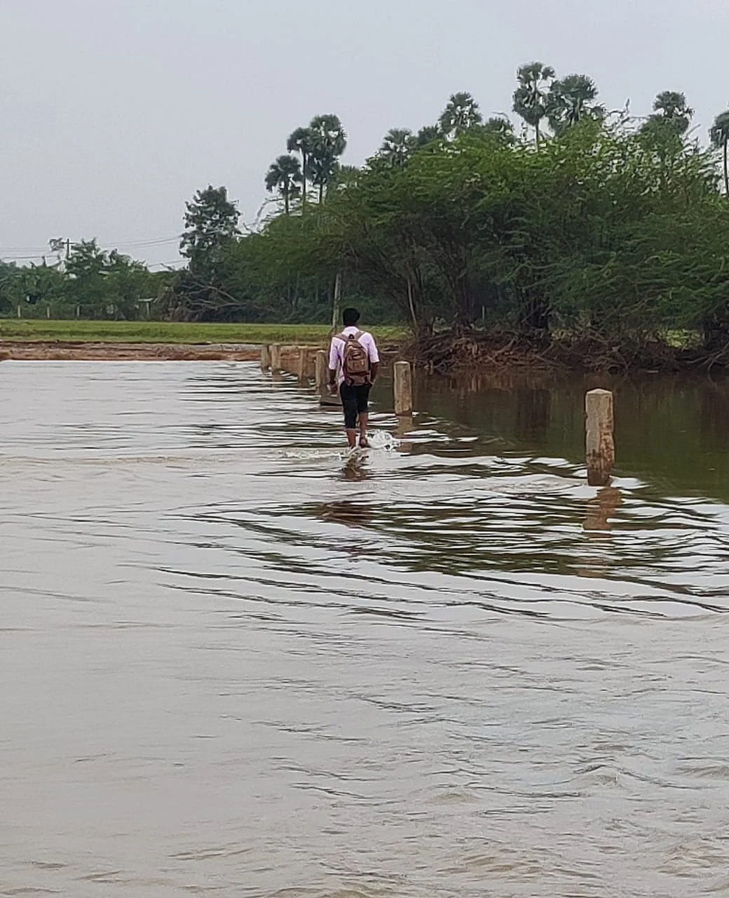 வெள்ளப்பெருக்கு