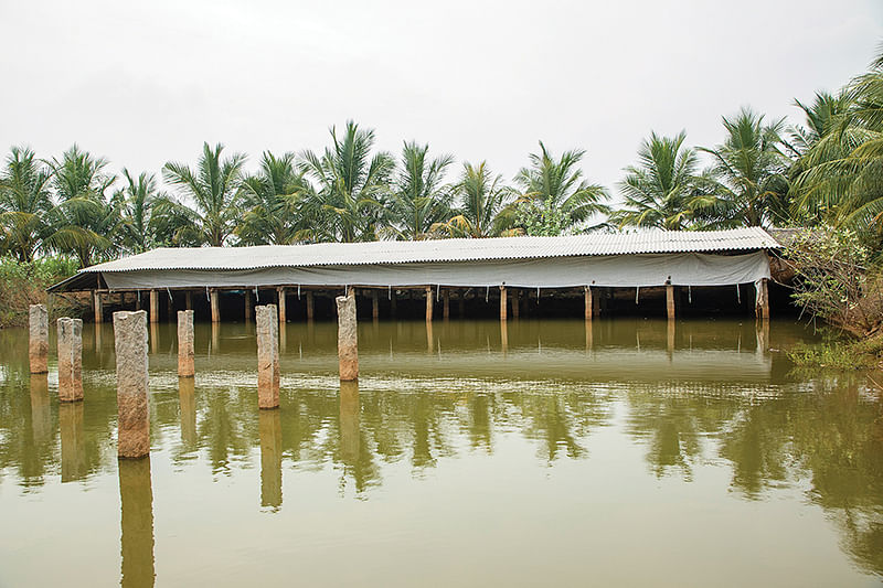 மீன் குளம்