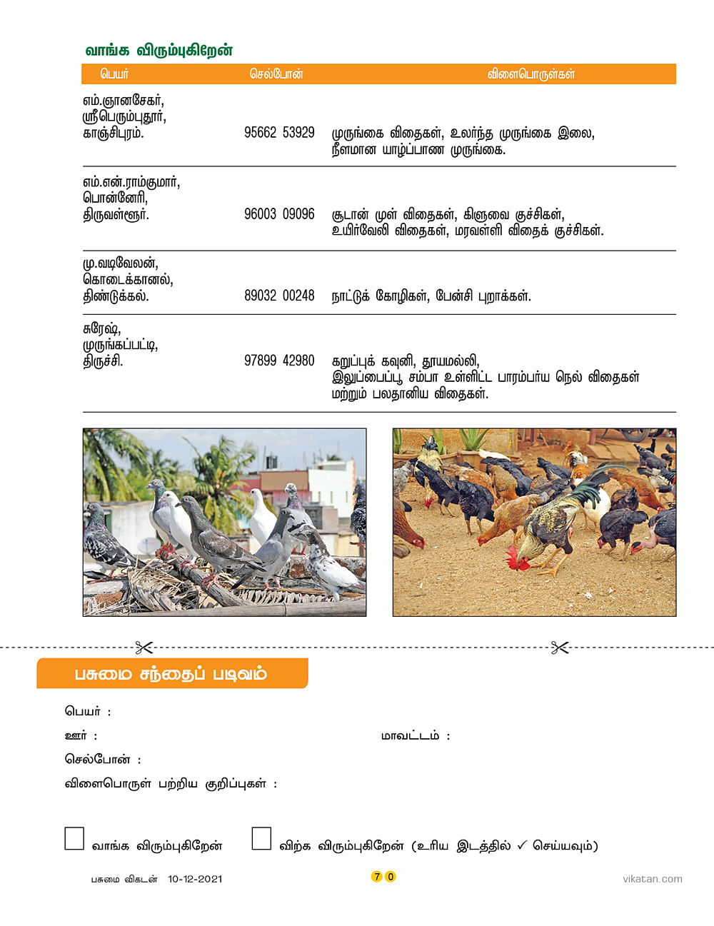 பசுமை சந்தை