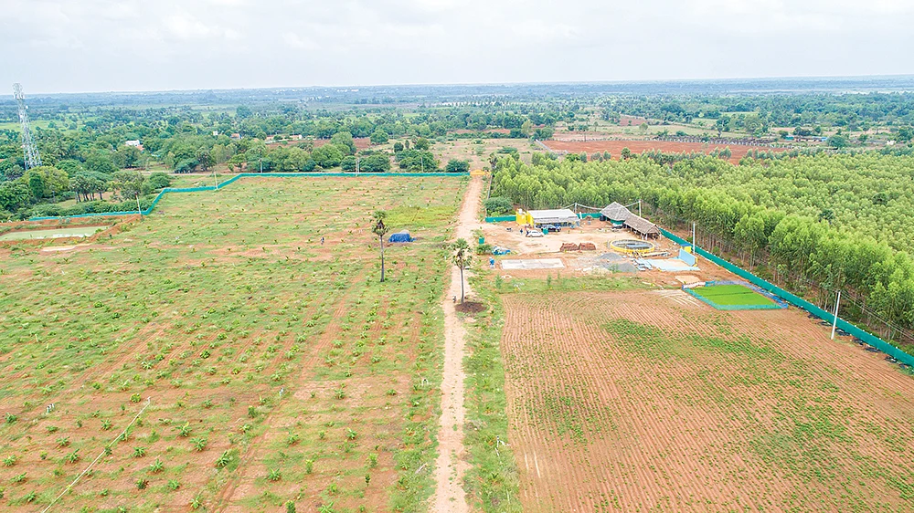 பண்ணையின் மேற்புறத் தோற்றம்
