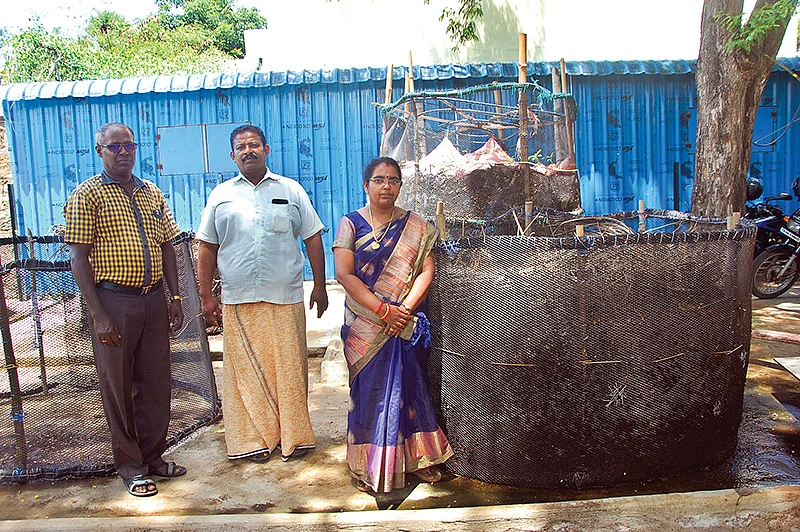 மண்புழு உரநீர்
