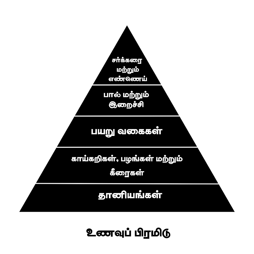 Food Pyramid