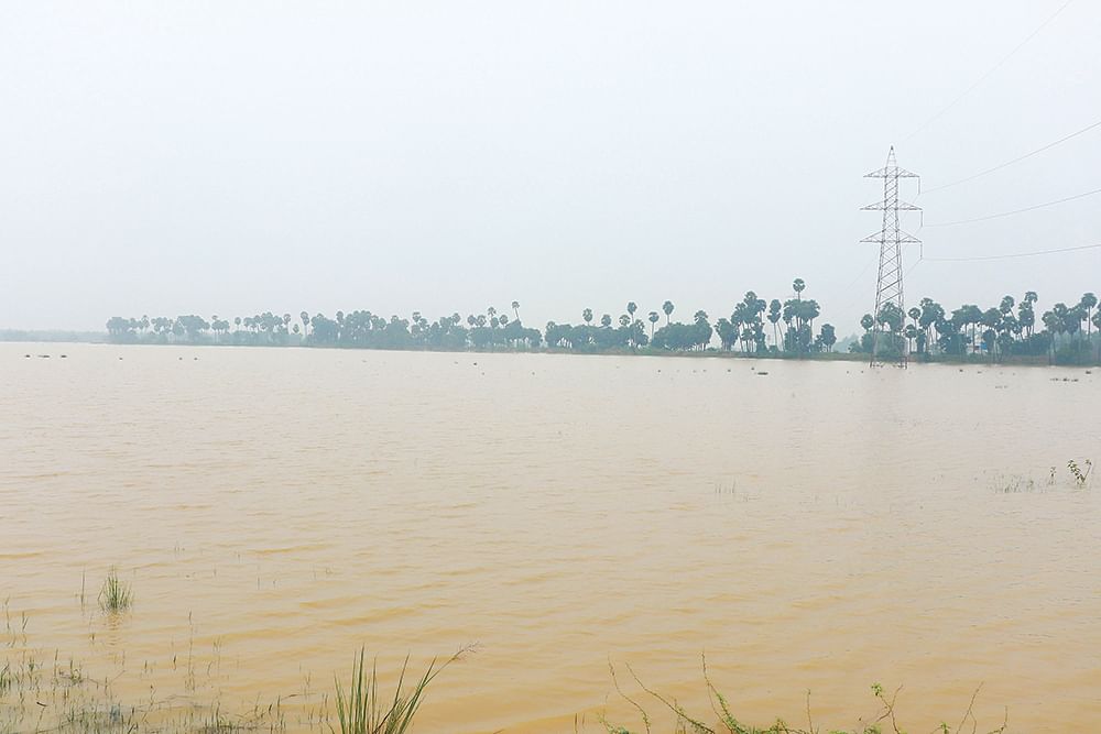 நரியம்பாக்கம் ஏரி - இப்போது...
