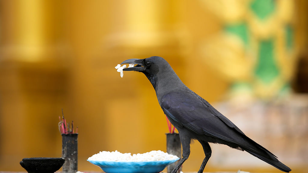 கவிதைகள்