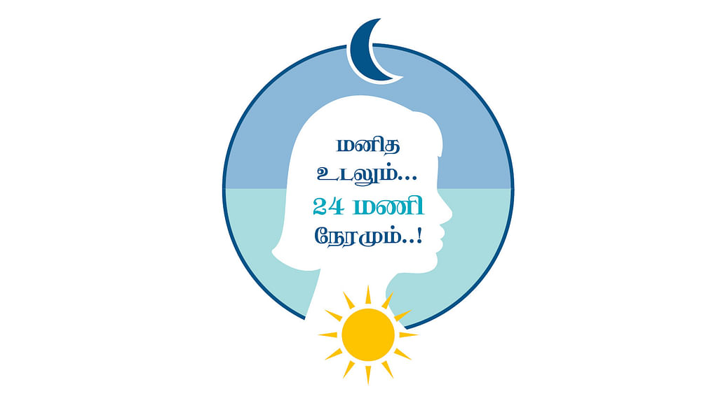 மனித உடலும்... 24 மணி நேரமும்!