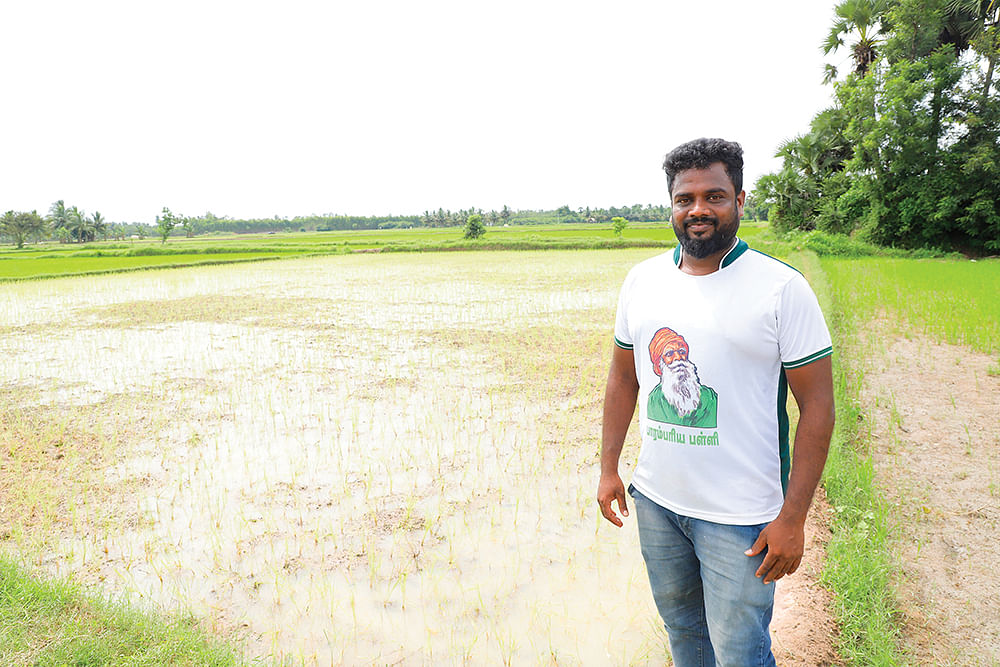பாரம்பர்ய நெல் சாகுபடி வயல்