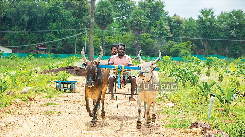 பண்ணையில் நடிகர் கருணாஸ்