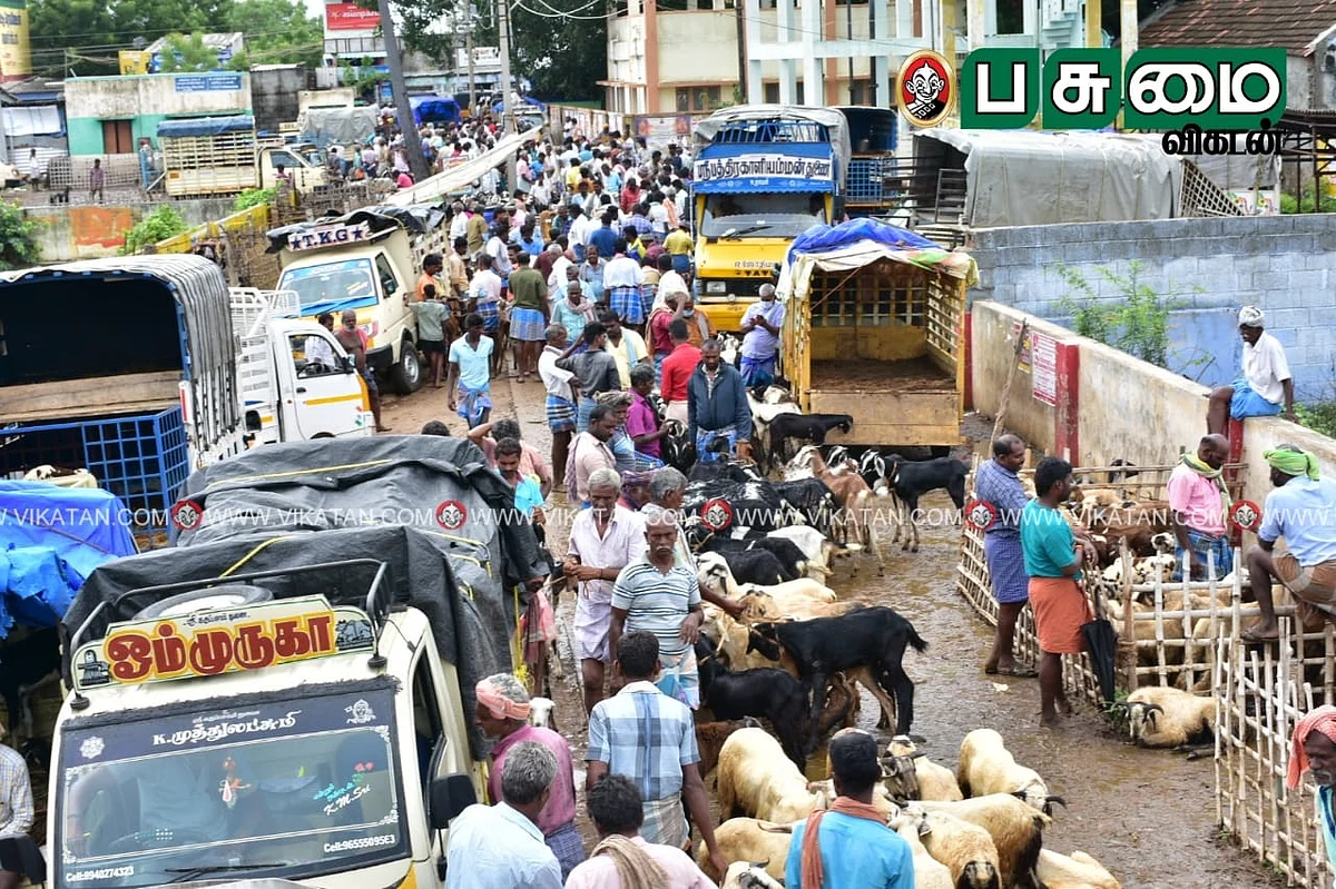 எட்டயபுரம் ஆட்டுச்சந்தை