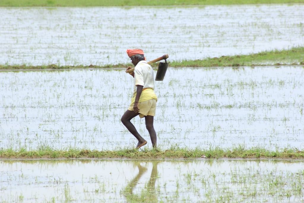 Farmer (Representational Image)