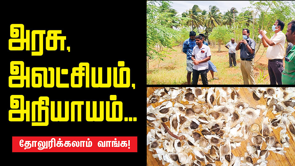 அம்பல மேடை