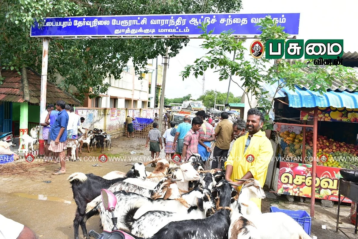 எட்டயபுரம் ஆட்டுச்சந்தை
