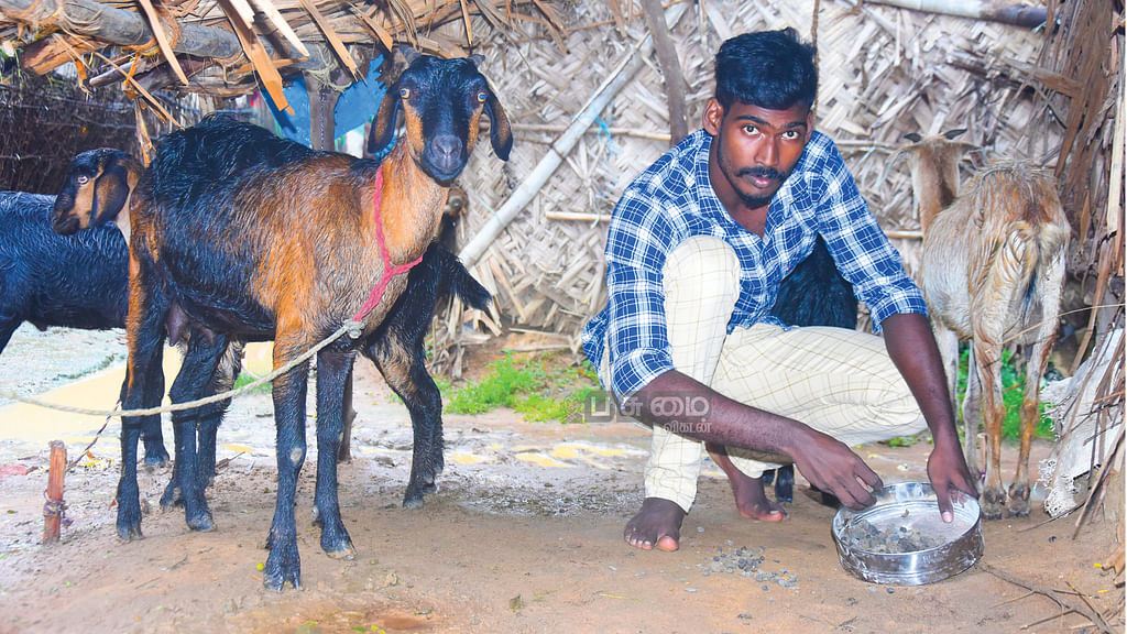 ஆடுகளுடன் அருண்ராஜ்