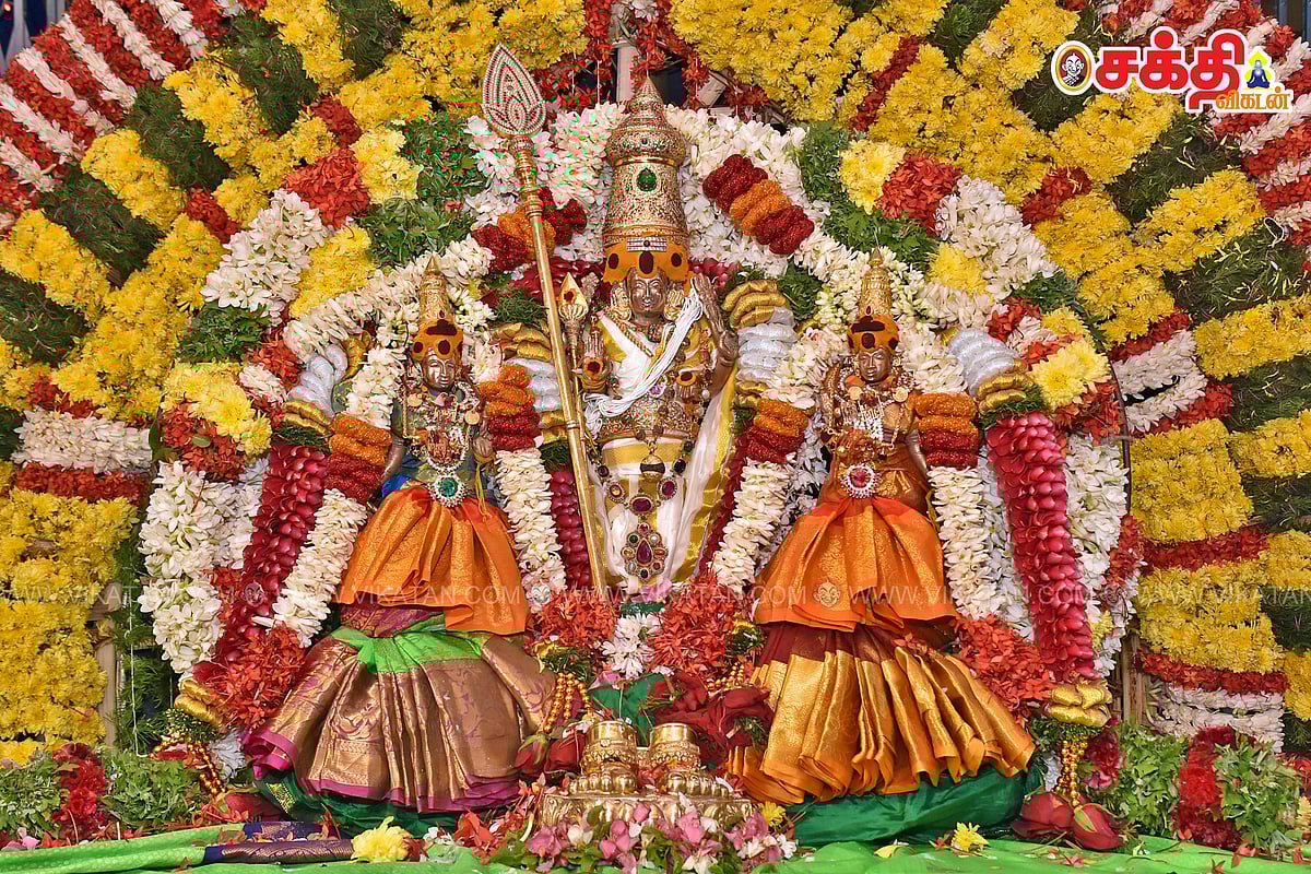 ஸ்ரீசுப்ரமண்ய மூலமந்திர மஹாஹோமம்: கந்தன் அருளால் வேண்டியவை யாவும் நிறைவேற நீங்களும் சங்கல்பிக்கலாம்!