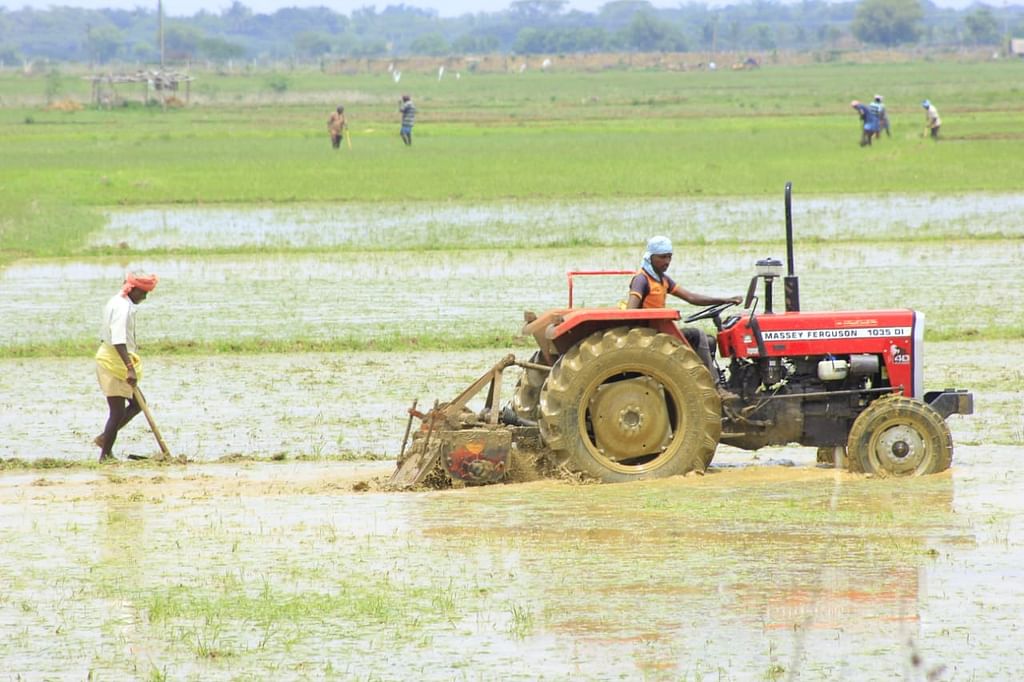 இயற்கை விவசாயம்