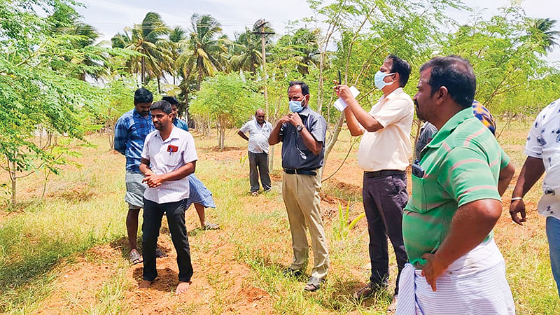 வயல் ஆய்வு