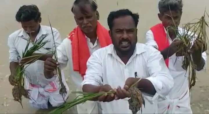 மழை நீரில் மூழ்கிய பயிரை காட்டும் விவசாயிகள்