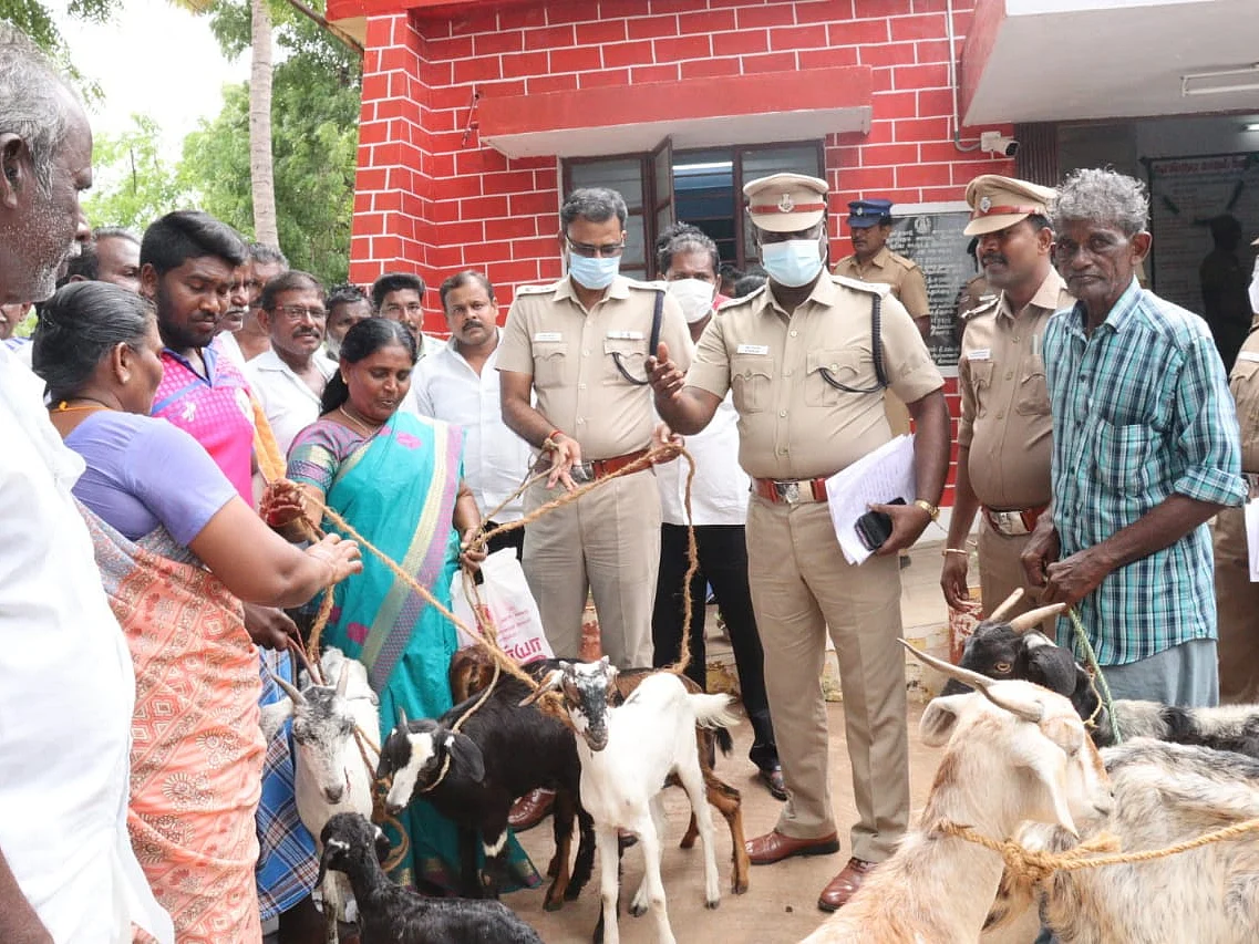 இன்னோவா காரில் சென்று ஆடுகளைக் கடத்திய கும்பல்; போலீஸிடம் சிக்கியது எப்படி?