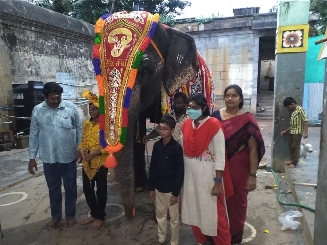 மயிலாடுதுறை: அபயாம்பிகை யானைக்குப் புத்தாடை அணிவித்து ஆராதனை - தீபாவளிக் கொண்டாட்டம்!