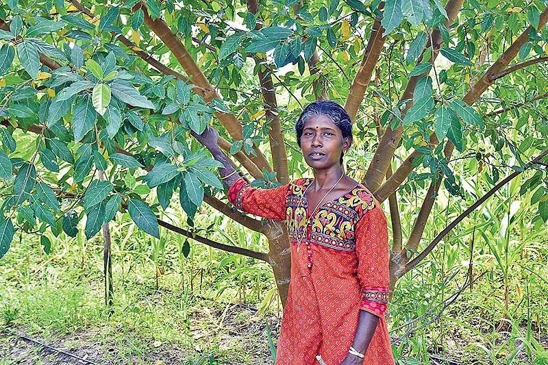 ஜெயலட்சுமி