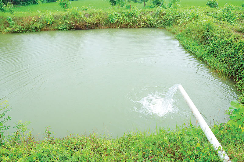 மீன் குளம்