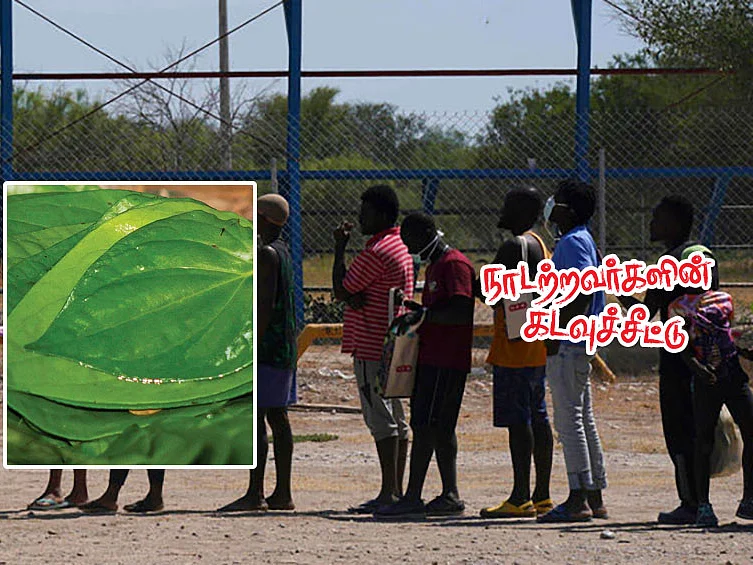 நாடற்றவர்களின் கடவுச்சீட்டு | `அகதிகள் முகாமை நடுங்கவைத்த வெற்றிலை' | பகுதி- 9