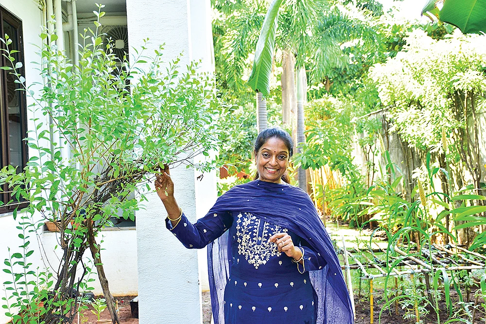 தோட்டத்தில்