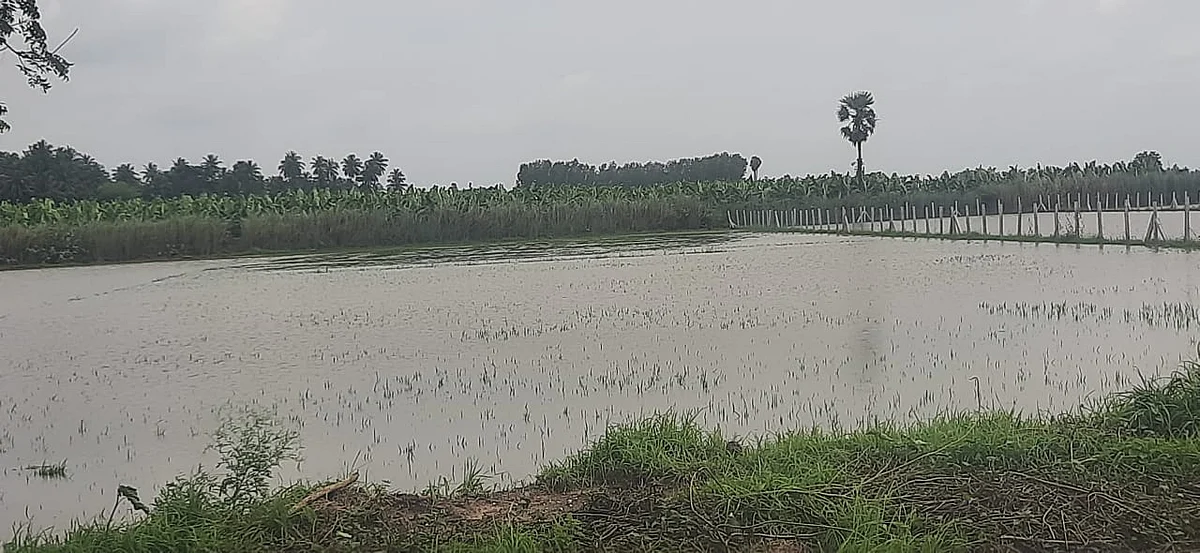 விளைநிலங்கள்