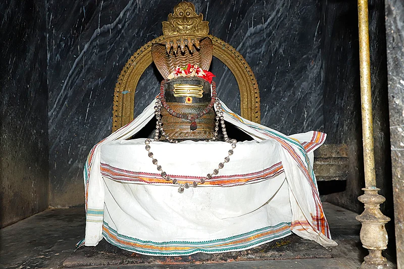 `சுவாமி, அம்பாள், நான்...
இதுதான் என் குடும்பம்!'