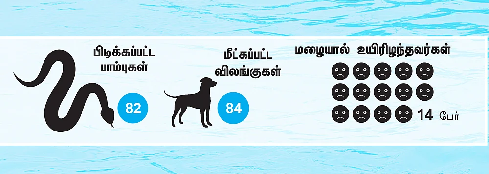 சென்னை பெருமழை பாதிப்பு