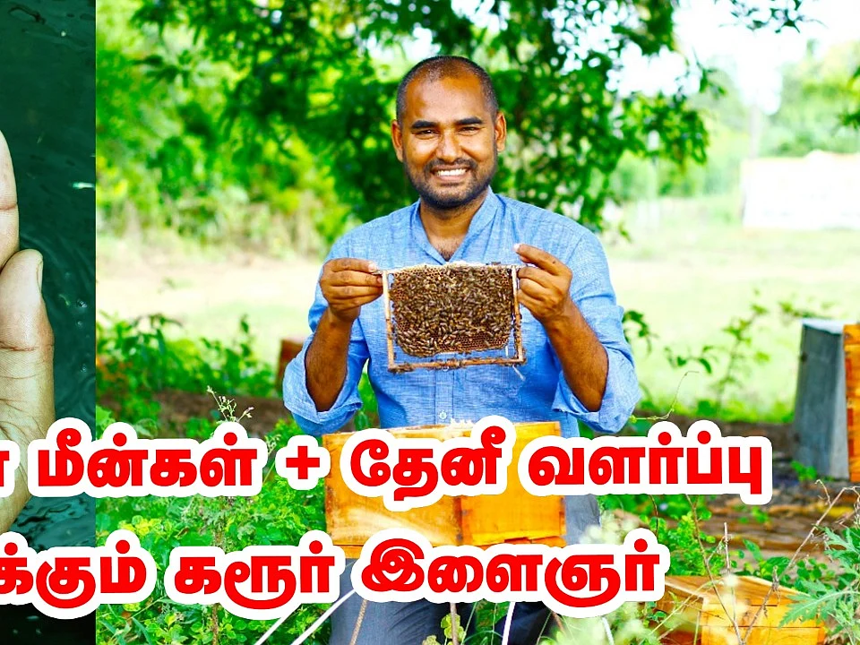 தேனீ மற்றும் வண்ண மீன்கள் வளர்ப்பு; மாதம் ரூ.80,000 வருமானம்; கலக்கும் கரூர் இளைஞர்!