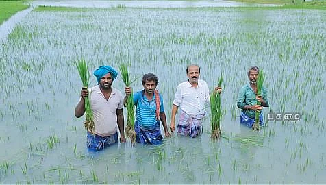 பாதிக்கப்பட்ட
விவசாயிகள்