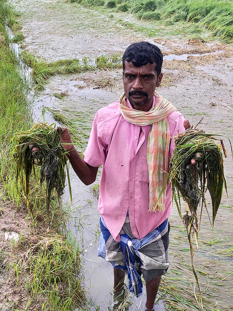 விடாது பெய்யும் தொடர் மழை... தத்தளிக்கும் தமிழகம்!