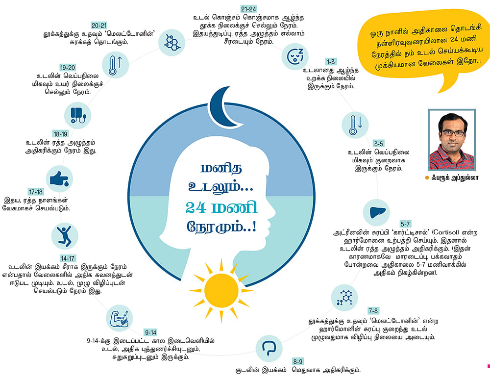 மனித உடலும்... 24 மணி நேரமும்!
