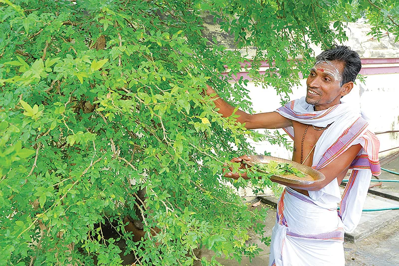 `சுவாமி, அம்பாள், நான்...
இதுதான் என் குடும்பம்!'