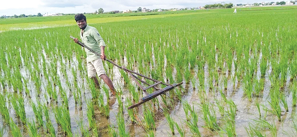 கருவியுடன் சுசீந்தர்