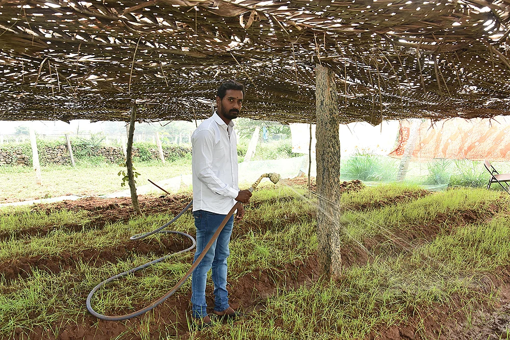 தண்ணீர் பாய்ச்சும் ராஜ்குமார்