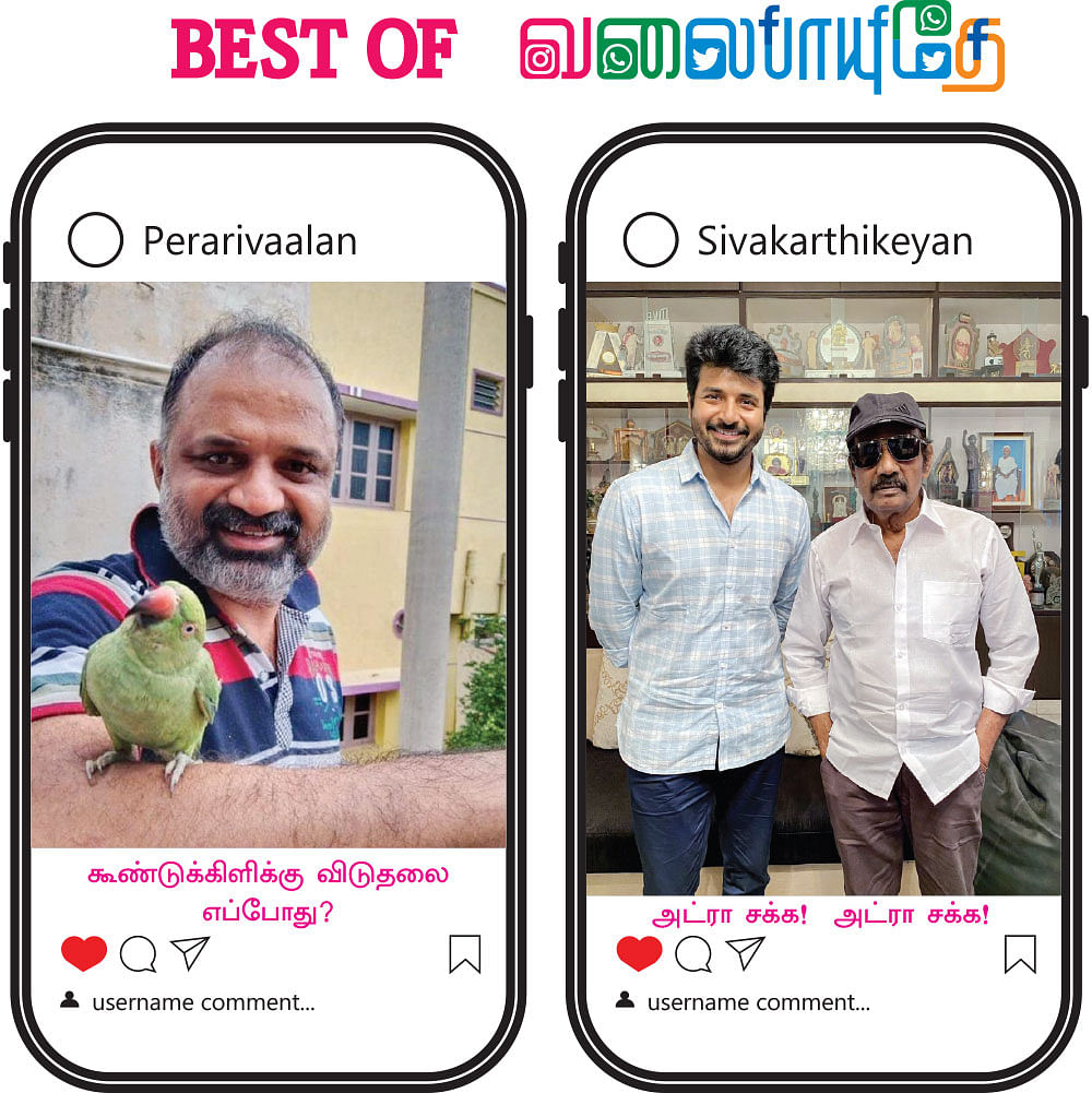 BEST OF வலைபாயுதே