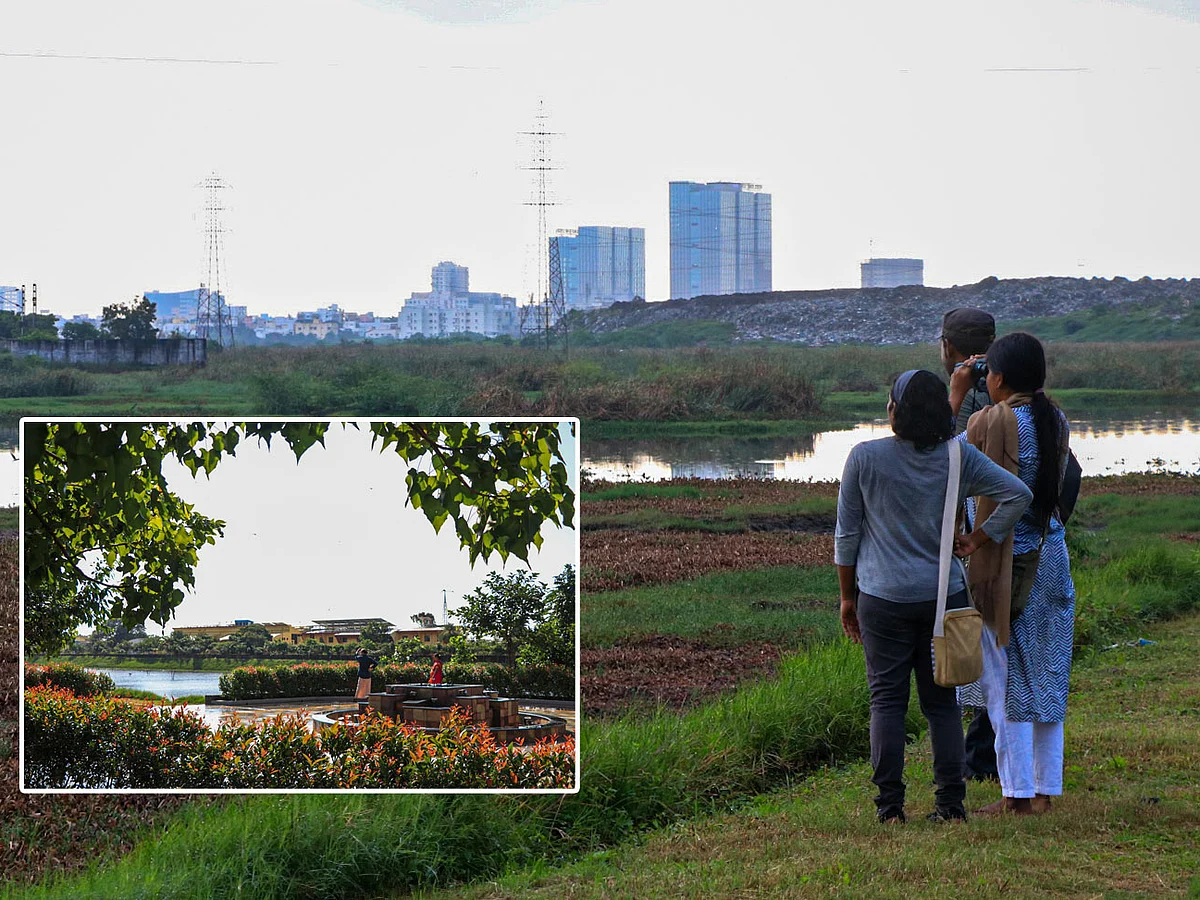 பள்ளிக்கரணை: சதுப்புநில `சூழலியல்' பூங்கா! | Spot visit