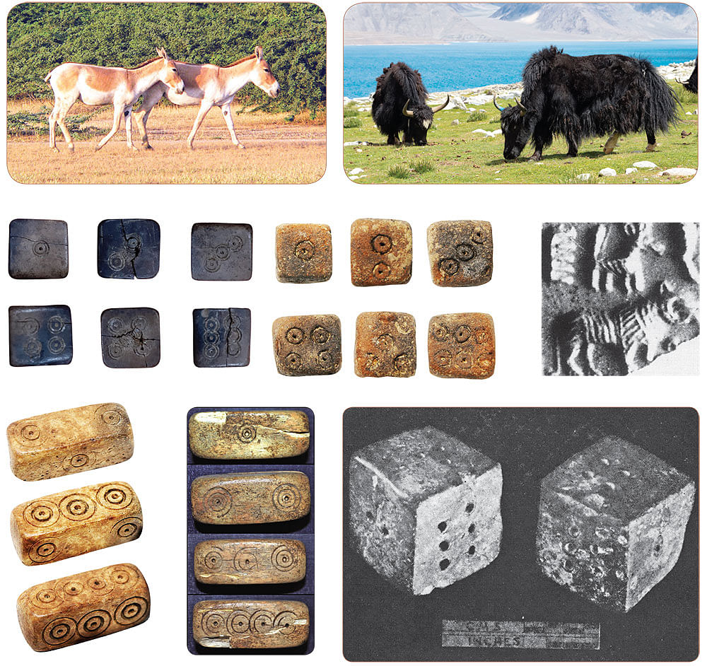 தமிழ் நெடுஞ்சாலை