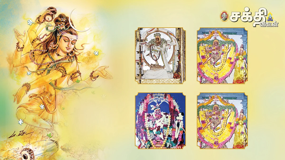 ஶ்ரீநடராஜ தரிசனம்