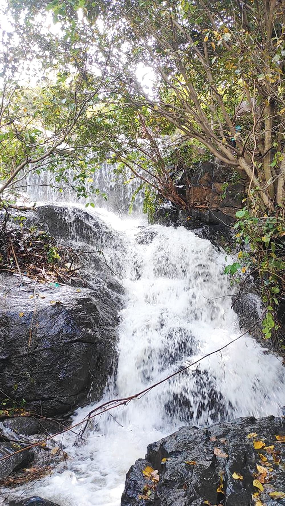 இன்பாக்ஸ்
